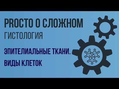 PROСТО О СЛОЖНОМ. Эпителиальные ткани, виды клеток. Гистология №3