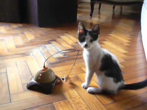 NINA vs Robot Alien (uncensored)