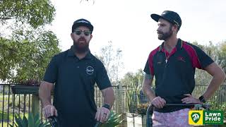 Lawn Renovation Tips - Travis from The Lawn Lab & Casey Aussie Lawn Dad
