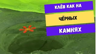 Печенеги Мартовое Зимняя рыбалка на Печенежском водохранилище 2024