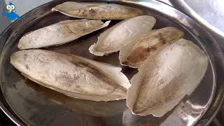 طريقة تنظيف عظم الحبار أو السيبيا How to clean squid bone or sepia