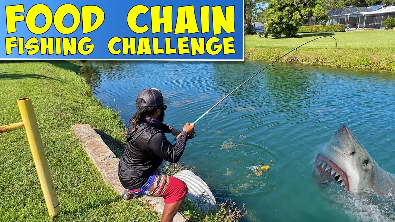 Food Chain Fishing Challenge YouTube