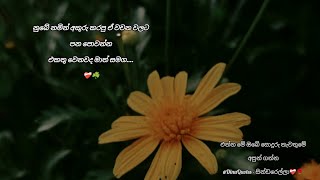 නුඹට නොදැනෙන්න නුඹව විදිමි ...🌻☘️ | ඔබේ සොදුරු නැවතුම | @DinuQuotes- සින්ඩරෙල්ලා❤️‍🩹🌹 by සින්ඩරෙල්ලා  228 views 1 month ago 1 minute, 6 seconds