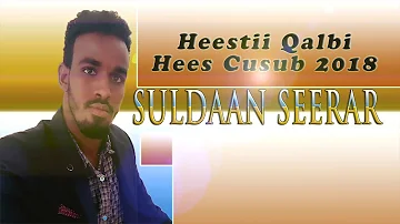 Suldaan Seeraar | Qalbi | Hees Cusub 2018