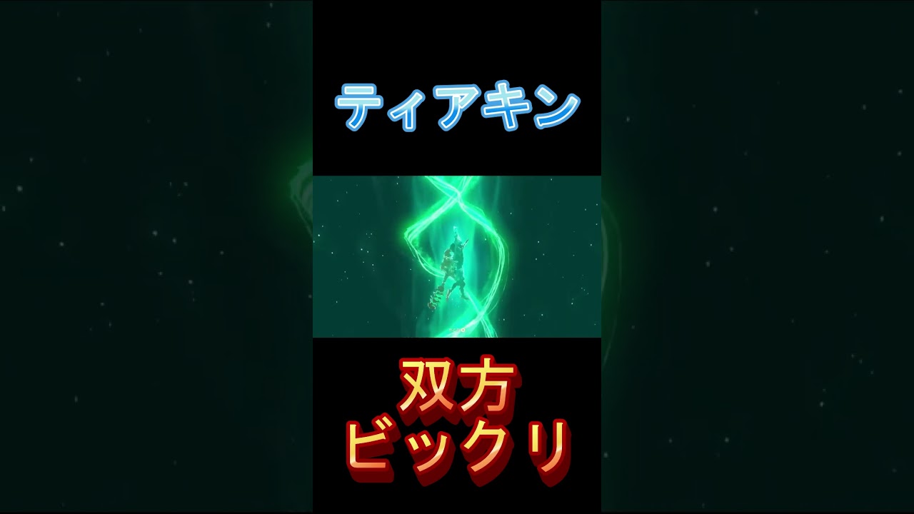 【#ティアキン 】不法侵入者VS不法占拠者【#shorts】【#ティアーズオブザキングダム 】【#初見】