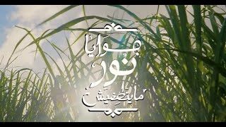 ترجمة إعلان بنك مصر - رمضان 2023 - جوايا نور ماينطفيش