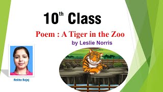 A Tiger in the Zoo Poem