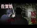 【イノちゃん山荘後編】【謎の刃物⁉】【落ち着かない恐怖。】