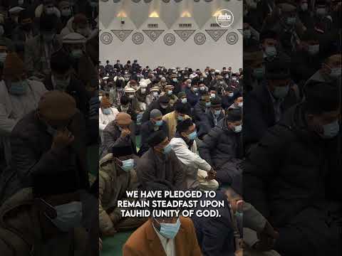 Fulfilling the Pledge of Tauheed