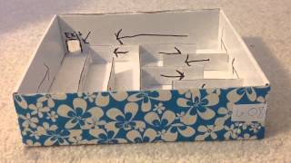 Homemade Hexbug Nano Maze