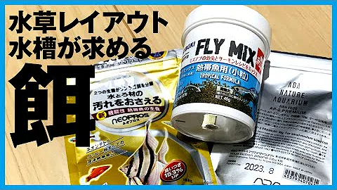 アクアリウム 熱帯魚に適正量の給餌できてますか 餌の多すぎは要注意 Kazu Aquach 60cm水槽 Mp3