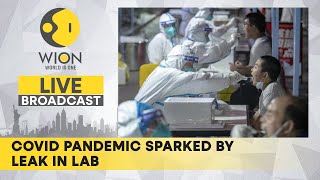 WION Live Broadcast: Covid pandemic sparked by leak in lab; G7 on Russia-Ukraine, China \& N. Korea