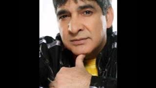 LJUBA ALICIC - NJEN OPROSTAJ AUDIO 2014