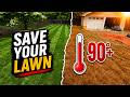 Keep Your Cool-Season Lawn Green This Summer