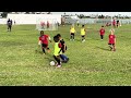 Soccer training 