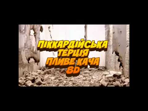 ПІККАРДІЙСЬКА ТЕРЦІЯ - ПЛИВЕ КАЧА 8D 🇺🇦