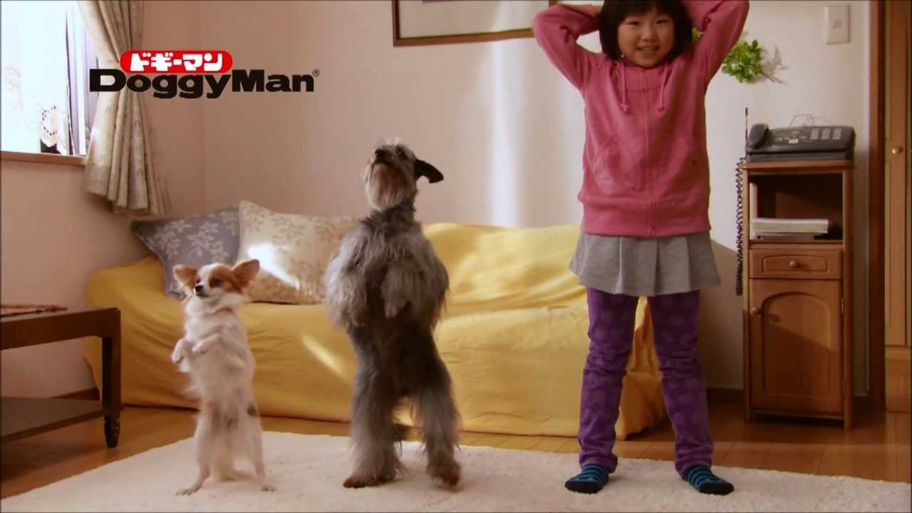 ドギーマン 和鶏やわらか軟骨サンド「スクワット犬」 - YouTube
