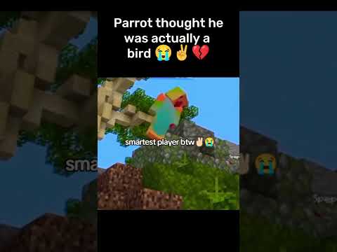 King of The whole Smp btw ✌️🥹 Minecraft Unstable Smp #shorts #memes