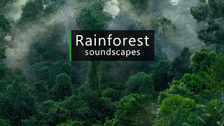 Thunder and rain sounds - Asian rainforest soundscape