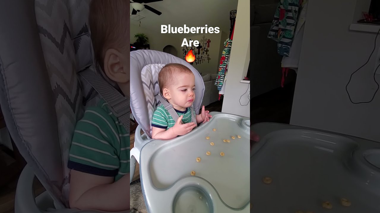 Baby eats blueberries for FIRST TIME!