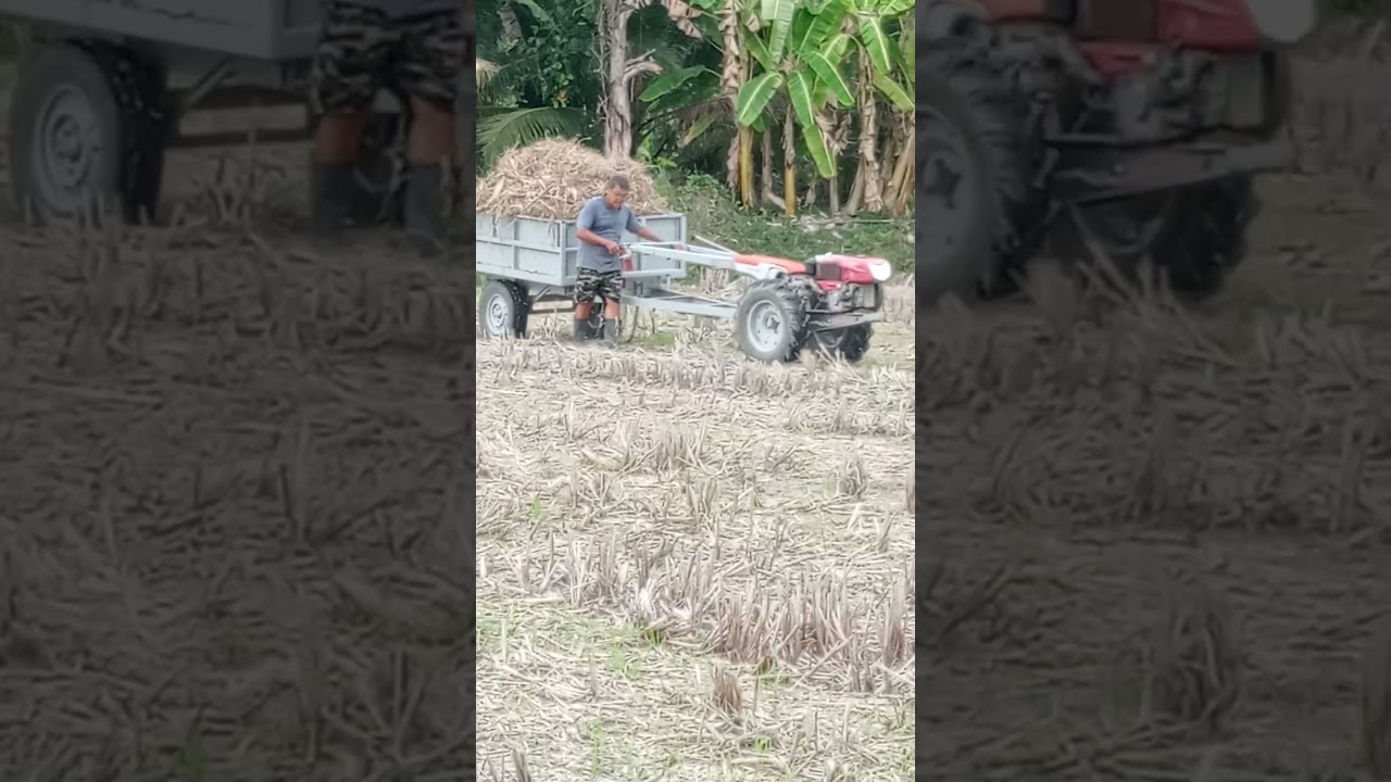 เรี้มแล้วจะไถนาทำลอบใหม่