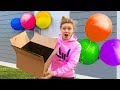 What’s inside the Sharer Family Mystery Box? NEW SURPRISE REVEAL!!