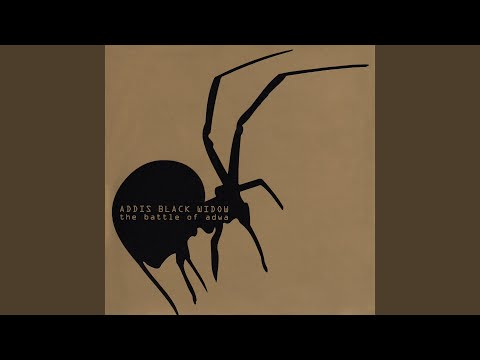 Addis Black Widow — Sweet Money