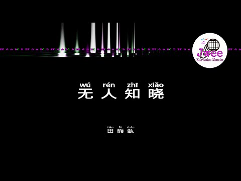 田馥甄 《无人知晓》 Pinyin Lyrics 动态拼音歌词 4k