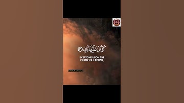 كل من عليها فان-تلاوة مؤثرة