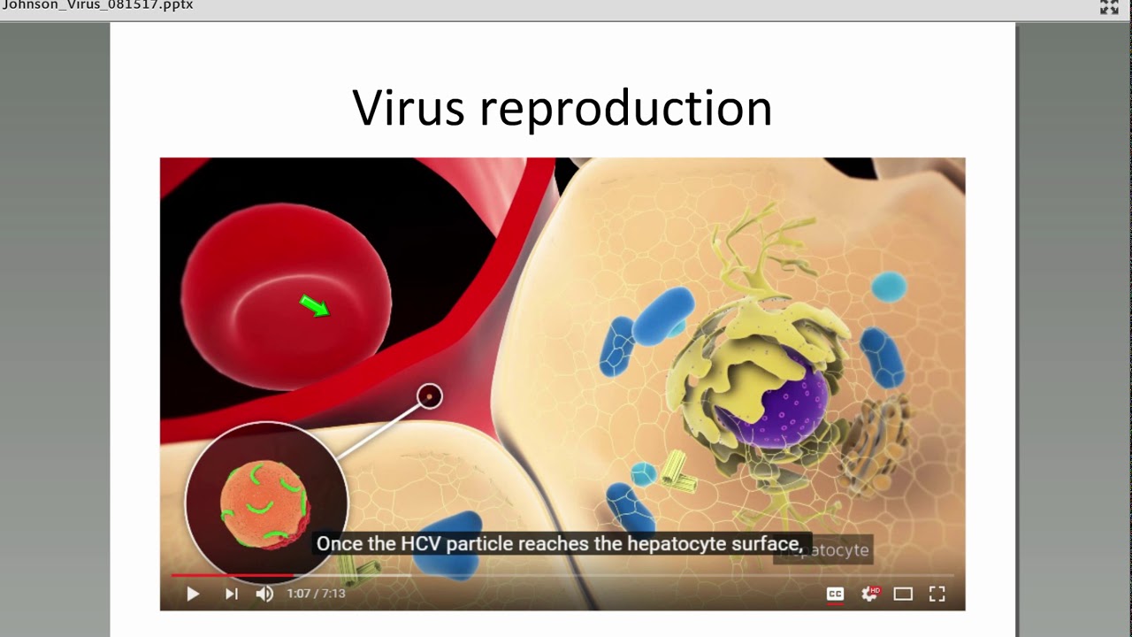 Reed Johnson, Viruses in Honey Bees