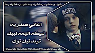 اغاني صدريه حماسيه | لبيكه الهمه لبيك | ريمكس سريع | ترند | تيك توك