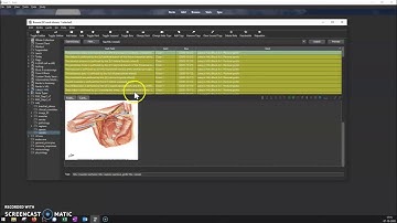 ANKI - using tags to make filtered decks