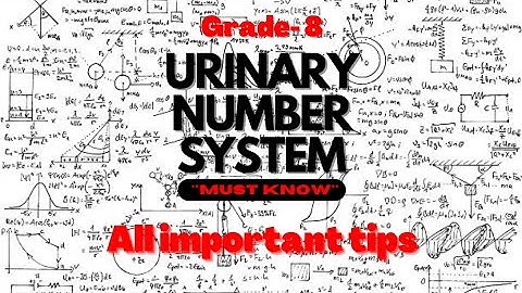 Some basics about quinary number system | Numeric Explorers