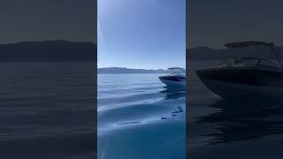 IMG 8260