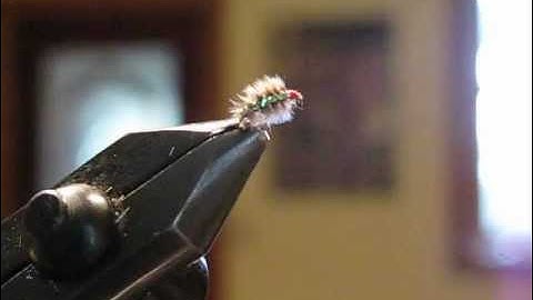 tying the ray charles fly