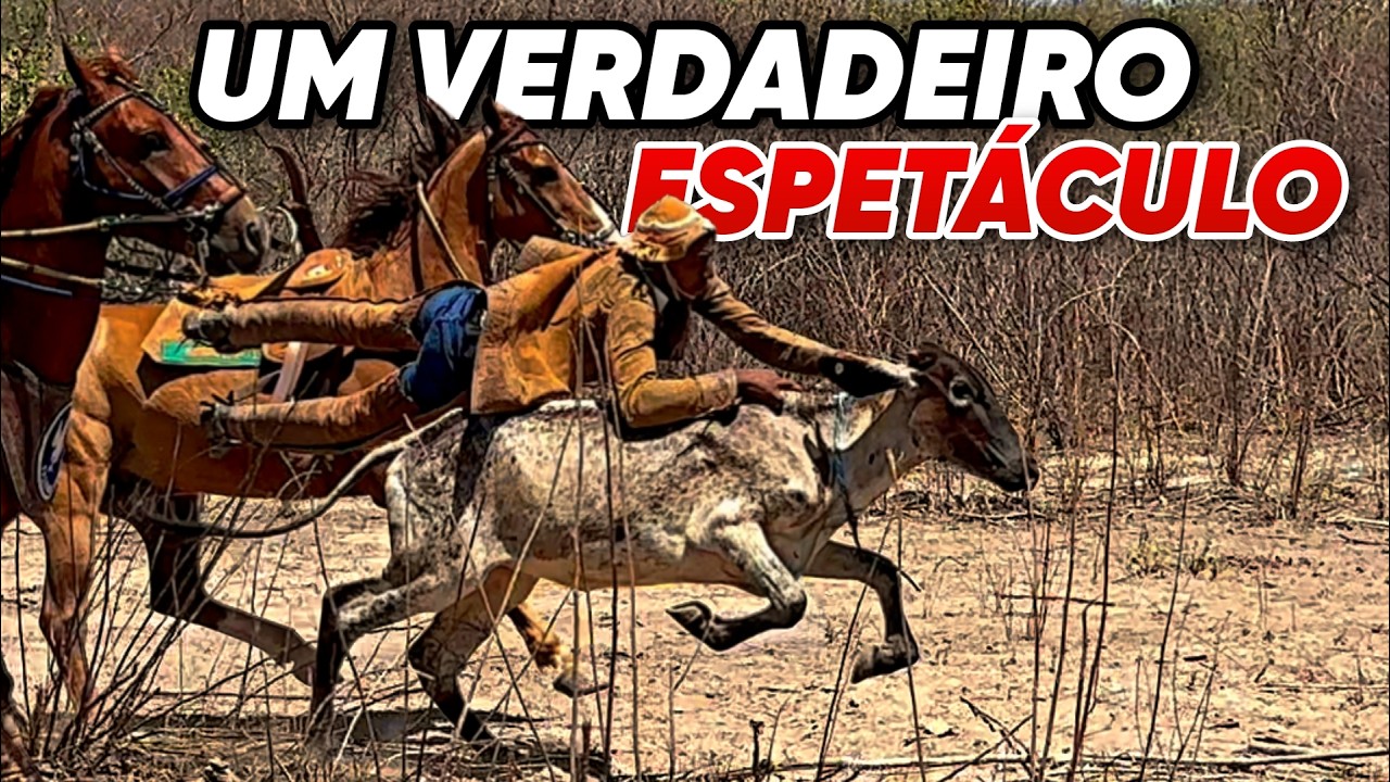 DISPUTA PELO MENOR TEMPO - CHÁCARA PAI E FILHO / SERRITA-PE