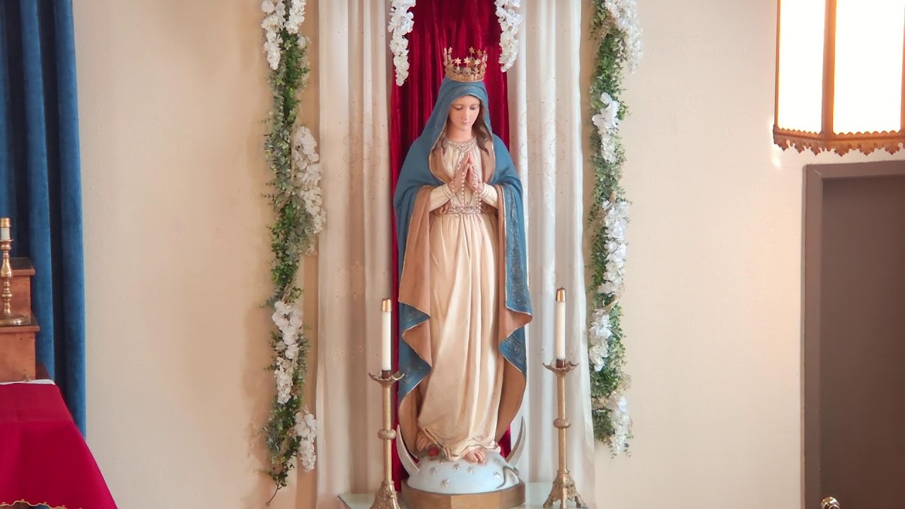 Rosary, June 11, 2025