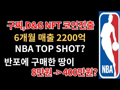   돈버는 NFT 코인이란 NFT 코인종류 매출 2200억 NBA TOP SHOT 메타버스에서 구매한 반포땅 수익률이 500