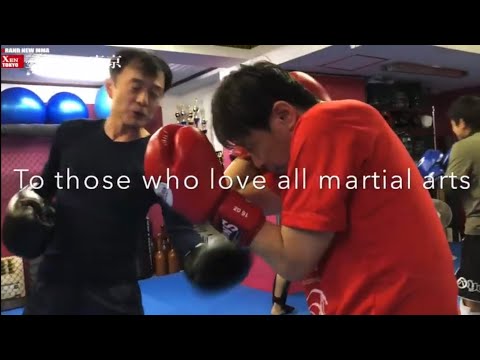 キックボクシング クラス紹介 総合格闘技 空手道禅道会小金井道場/MMA