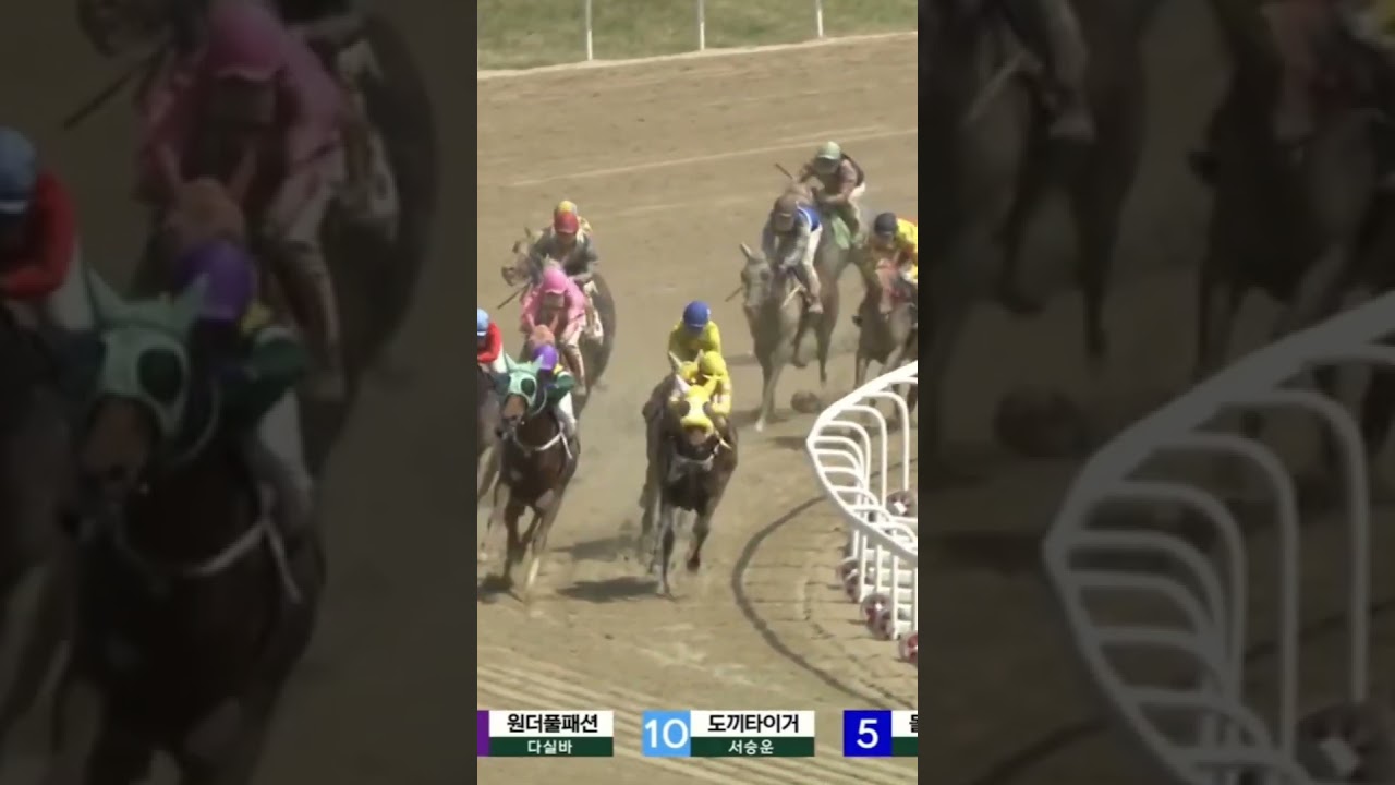 9.7배단통1-9