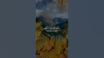 من قرأ سورةَ الكهفِ في يومِ الجمعةِ أضاء له من النورِ ما بينَ الجمعتينِ  #عبد_الباسط_عبدالصمد