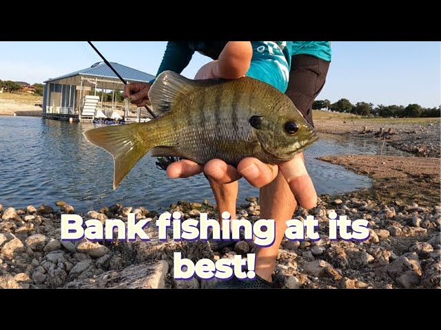 Sunday Funday - Lake Travis Bank fishing! 