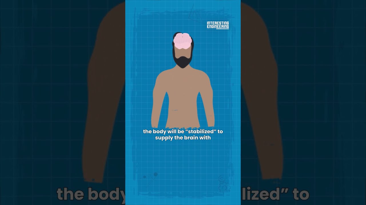 Cryogenic Sleep Will We Finally Be Able To Cheat Death 