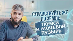 ЧУДО ПОЧКИ | «Странствуйте же по земле»