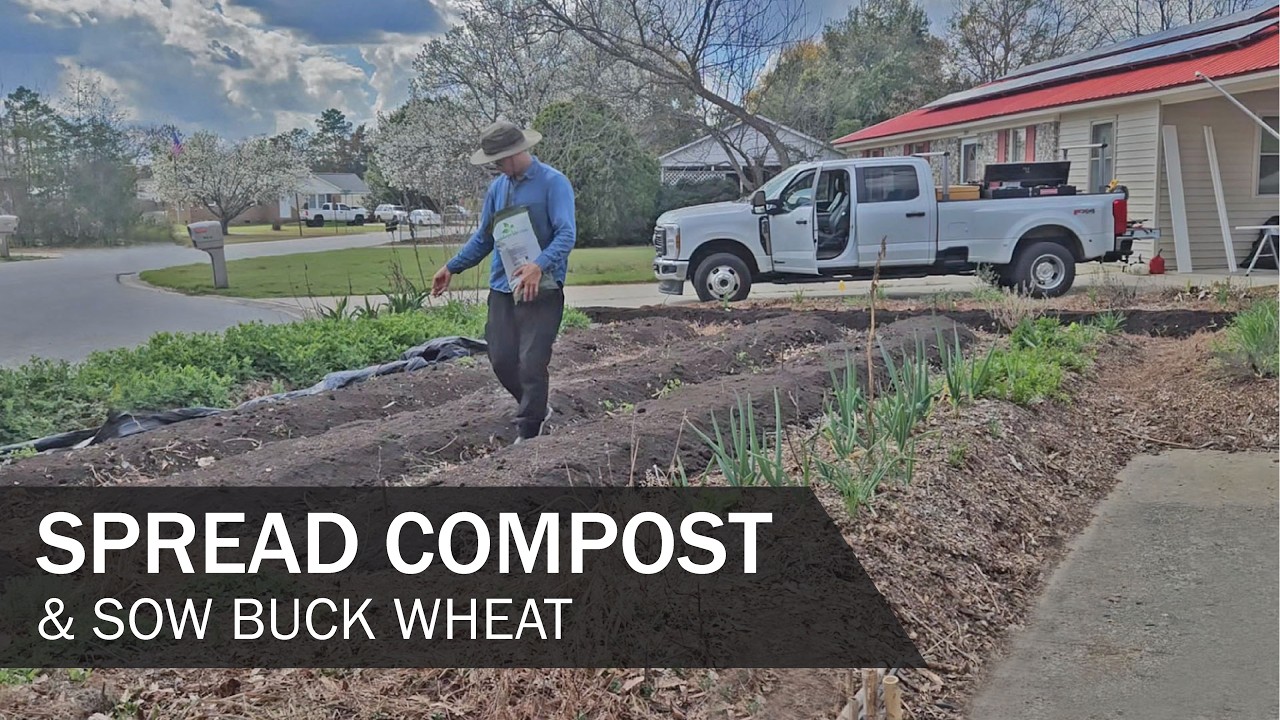 Phansharverst Spread Compost & Cover Crop Buck Wheat 2026