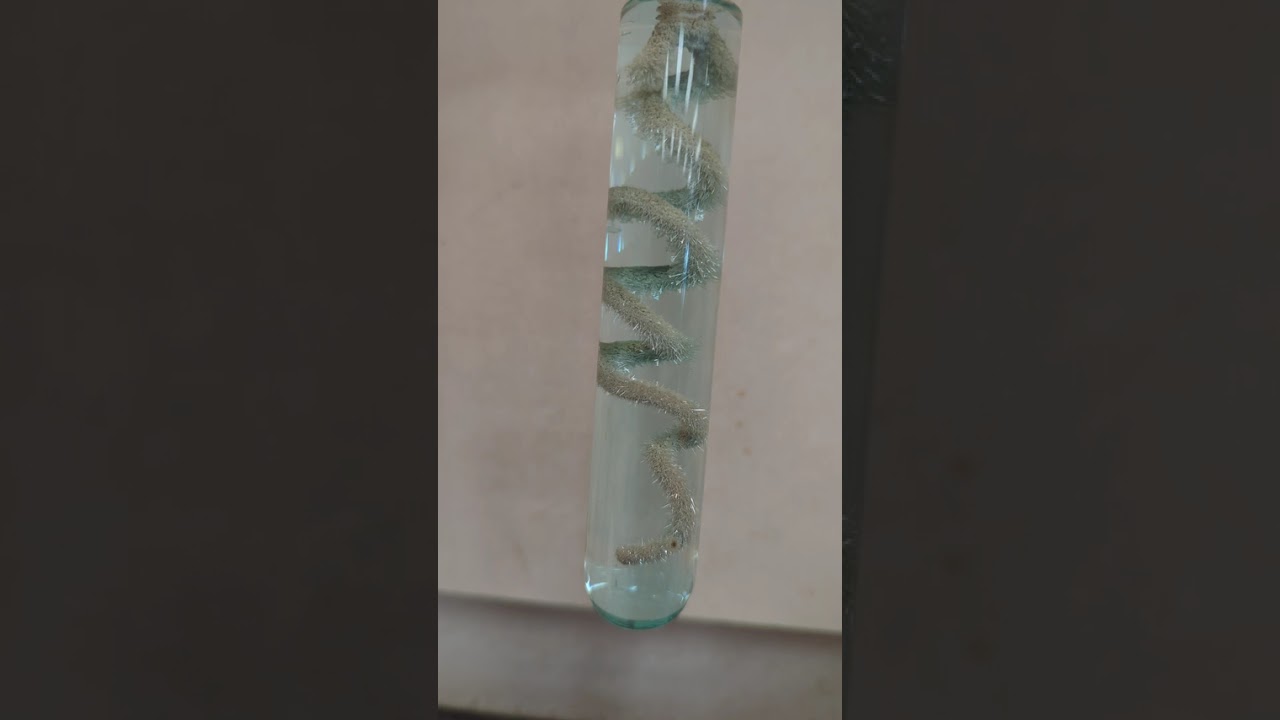 Cu wire in AgNO3 - Time Lapse