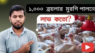 ১০০০ ব্রয়লার মুরগি পালনে লাভ ? 1000 broiler chicken farming