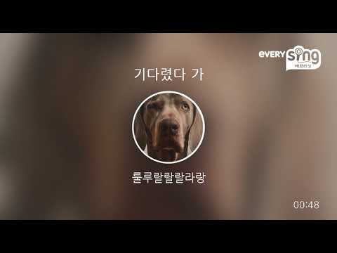 [everysing] 기다렸다 가