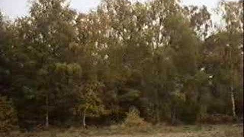 Monty Python : How Not To Be Seen