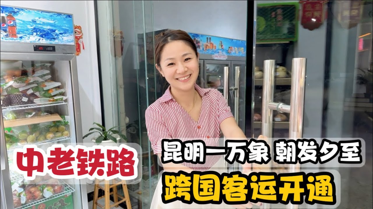 中老铁路将全线通车，中国昆明到老挝万象只8小时，机遇还是挑战 - YouTube